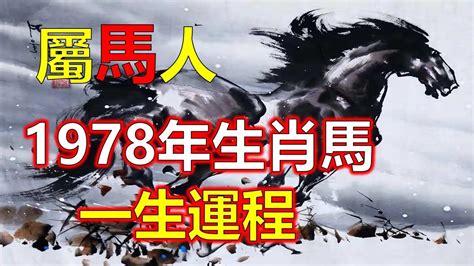 1978年屬什麼|【1978 屬什麼】1978屬馬的人注意了！42歲後運勢大。